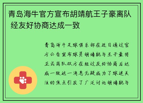 青岛海牛官方宣布胡靖航王子豪离队 经友好协商达成一致 青岛海牛官方宣布胡靖航王子豪离队 经友好协商达成一致