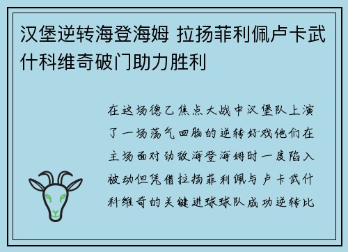 汉堡逆转海登海姆 拉扬菲利佩卢卡武什科维奇破门助力胜利 汉堡逆转海登海姆 拉扬菲利佩卢卡武什科维奇破门助力胜利